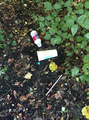 Litter on the Cynon Line